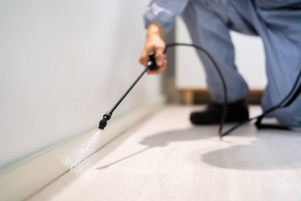 Professional exterminator conducting IPM assessment in Royalton