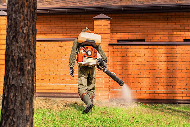 Top rated local Wasp Removal specialists in Royalton, IL
